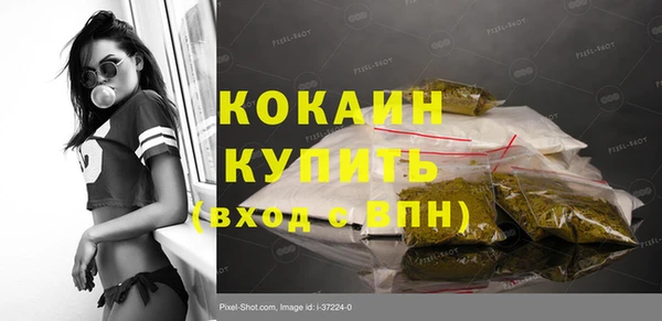 гашик Нея
