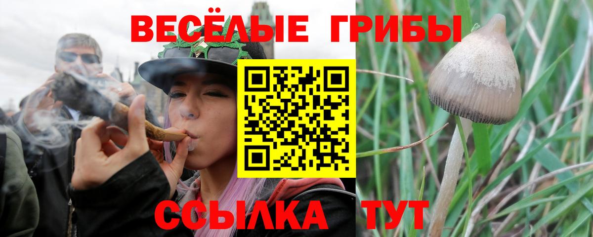 Лабытнанги  Псилоцибиновые грибы MAGIC MUSHROOMS  Вход с VPN 