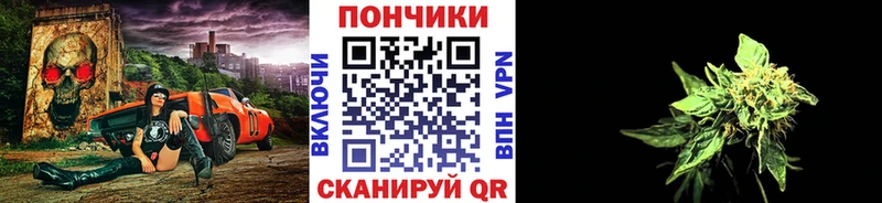 продажа наркотиков  Лабытнанги  Бошки Шишки планчик 